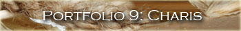 Portfolio 9