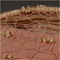 Detail 2