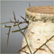Detail 3