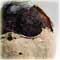 Detail 2