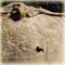 Detail 4