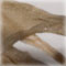 detail 4