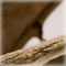 detail 3