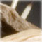 detail 4