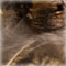detail 3
