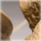 detail 4