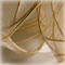 detail 3
